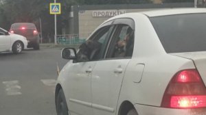 Собачькено такси.mp4