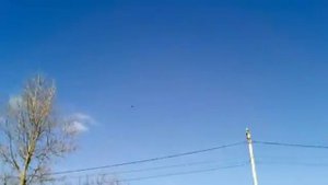 Работа с бюджетным манком на утку. Показательный мастер-класс.