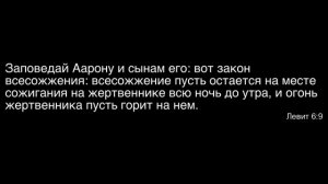 Прямая трансляция служения  и субботней школы 16 января.