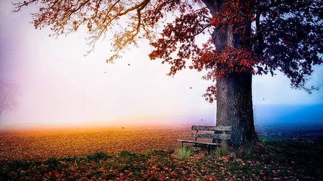 Притчи о главном.Безумно красивые притчи для ума и сердца.