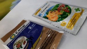 КАКИЕ ПРЕПАРАТЫ Я ИСПОЛЬЗУЮ ДЛЯ СВОИХ РАСТЕНИЙ ДЛЯ ОБРАБОТКИ ОТ БОЛЕЗНИЙ И ВРЕДИТЕЛЕЙ.