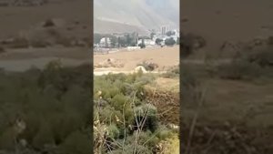 Сель, Тырныауз 14 августа