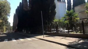 В окне мелькнул Дом отдыха "Челюскинцев", Гагра.