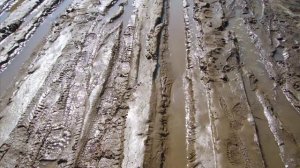 Сектор газа самые лучшие тачки