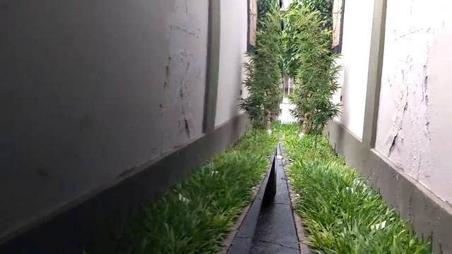 Ford ka 2011 - Motor 1.6 cc смотреть онлайн