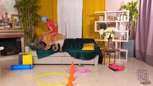 ГАДЖЕТЫ ДЛЯ БОГАТЫХ И БЕДНЫХ ДОМАШНИХ ПИТОМЦЕВ || Кричащая роскошь VS бюджетные идеи от 123 GO! FOO