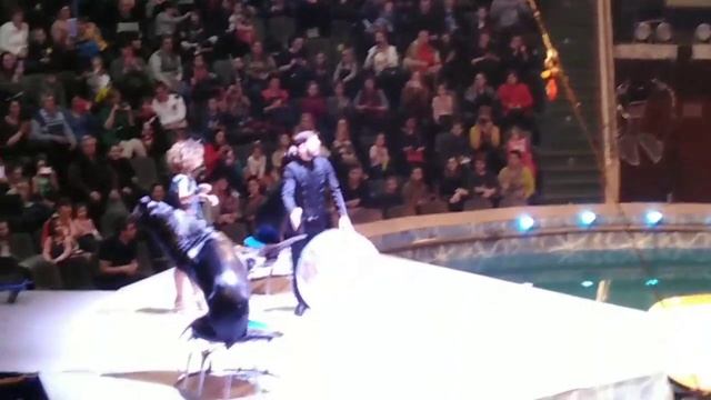 ?Френдзона - Бойчик (cover) на укулеле ? смотреть онлайн