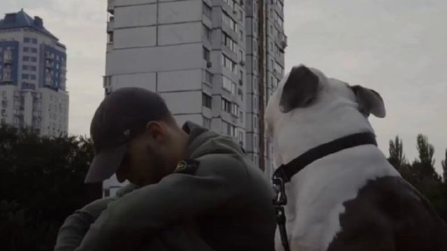 крбк-стрела. krbk-стрела смотреть онлайн