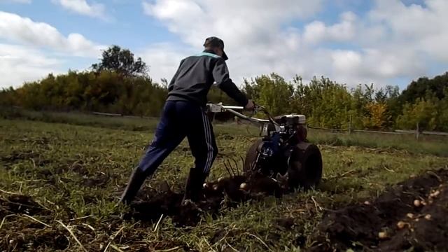 Копание картофеля(мотоблок МБ-2М)