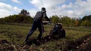 Копание картофеля(мотоблок МБ-2М)