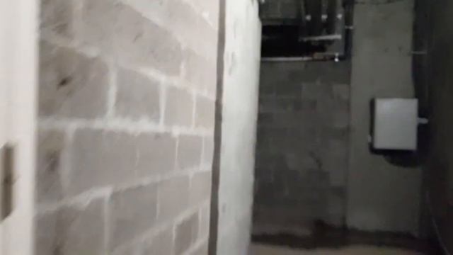 всё было хорошо пока не заржал Демид как вы думаете наказать Демида? на привюхе Демид смотреть онлайн