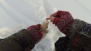 ЛЮБЛЮ ЗИМНЮЮ РЫБАЛКУ! Судак на раттлин, зимняя рыбалка  на Обском водохранилище