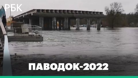 Затоплены десятки домов в Брянской области