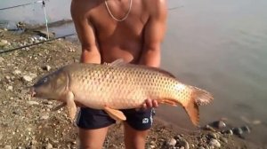 Кубанское водохранилище.Рыбалка на сазана в КЧР 2014г.