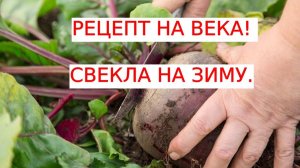 Свекла на зиму - рецепт лучше не придумаешь