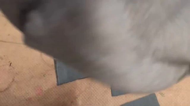 DIY Patchwork Jeans!!! ?| easy method смотреть онлайн