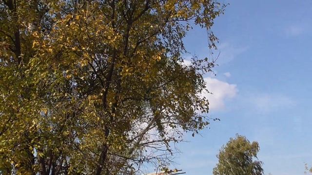 РОДИТЕЛЬСКАЯ УСАДЬБА ЗАГОТОВКА И ХРАНЕНИЕ ХРЕНА НА ЗИМУ смотреть онлайн