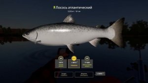 Лосось и Щука на Волхов ? Русская рыбалка 4 ? РР4 ?RF4? Фарм на Волхове троллингом ?