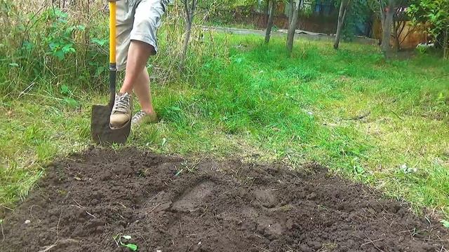 Отдых на даче 92 смотреть онлайн