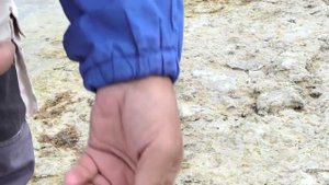 Как насадить морских червей на крючок