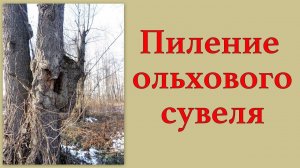 Пиление ольхового сувеля