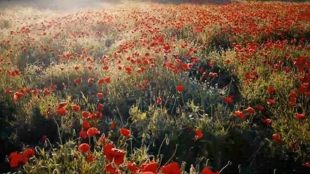 ВОСХЕТИТЕЛЬНЫЙ РЕЛАКС ДЛЯ ГЛУБОКОГО КРЕПКОГО СНА\ ЛЕЧИТ СОСУДЫ И СЕРДЦЕ \МУЗЫКА ДЛЯ МЕДИТАЦИИ И ДУШ смотреть онлайн