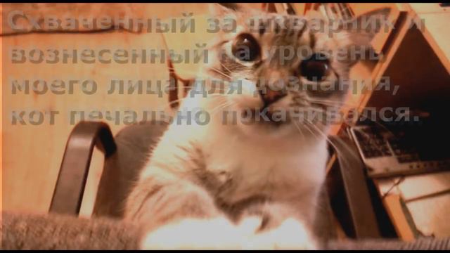 Чербелоидный подкаст #3 - Тихо ступают мягкие лапы Как светла эта ночь перед боем смотреть онлайн