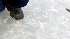 Ловим на безнасадку. Практика. Введение.