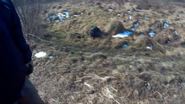 Часть7.Коп с Асей 250 и Минелаб Го финд 20 смотреть онлайн