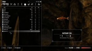 Skyrim. Ассасин-иллюзионист. Легендарная сложность. Часть 16/1