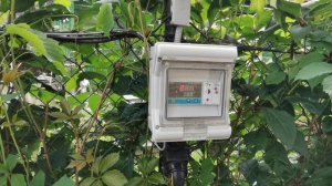 Пруд на даче своими руками