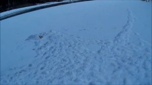 Зимняя рыбалка на хариуса в Горном Алтае.  Выпуск-4.