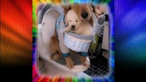 Все свое ношу с собой.