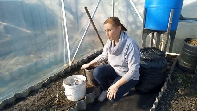 ГОТОВИМ ТЕПЛИЦУ к весенним посевам ПРАВИЛЬНО#огород#теплица#теплицауход#весенняяподготовкатеплицы
