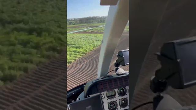 Меня пригласили на праздник День Поля от Компании СеДеК  #семена  #деньполя #дача #огородничество