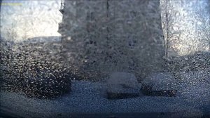 печка на стекло + обогрев лобового на Ford Focus 2