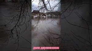 Паводок 2022. Дёма около Дюсметьево.