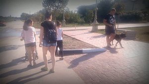 кане-корсо абсолютная агрессия - коррекция. Анапа дрессировка собак.