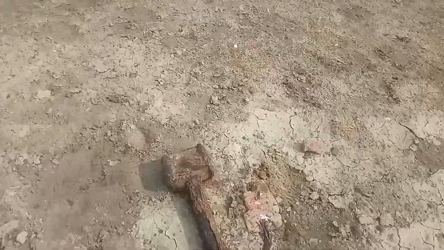 Коп металла в АЛЕКСАНДРОВКЕ