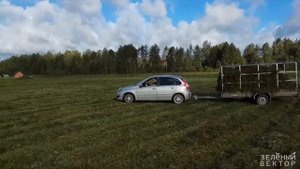 Небольшой газон на большом участке, Псков l Зелёный Вектор