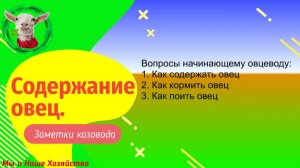 Вопросы начинающему овцеводу. Как содержать овец зимой