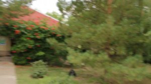 04 Астрахань. База отдыха Бережок