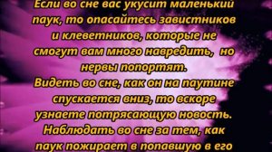 К чему снится паук