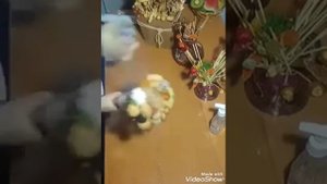 Собираем букет из орехов, сухофруктов и цукатов