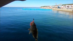 Рыбалка на Чёрном море!Село Дивноморское!Ловлю с волнорезов и причала!