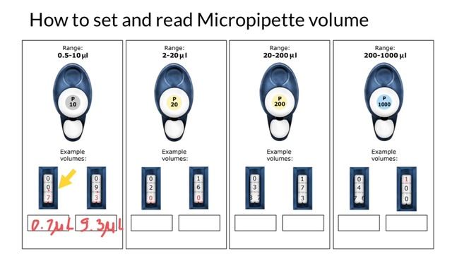 How To Set And Read Micropipette Volume