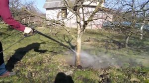 Чистка стволов деревьев