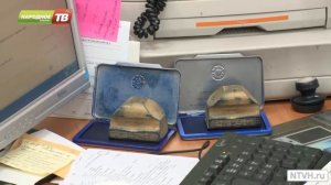 Увеличение госпошлины