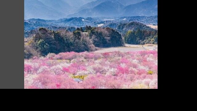 Исцеление от депрессии смотреть онлайн