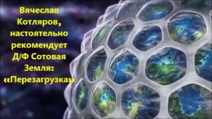 Сотовая Земля « На земле лесов нет! »